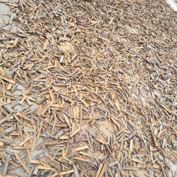 新鲜玉桂皮