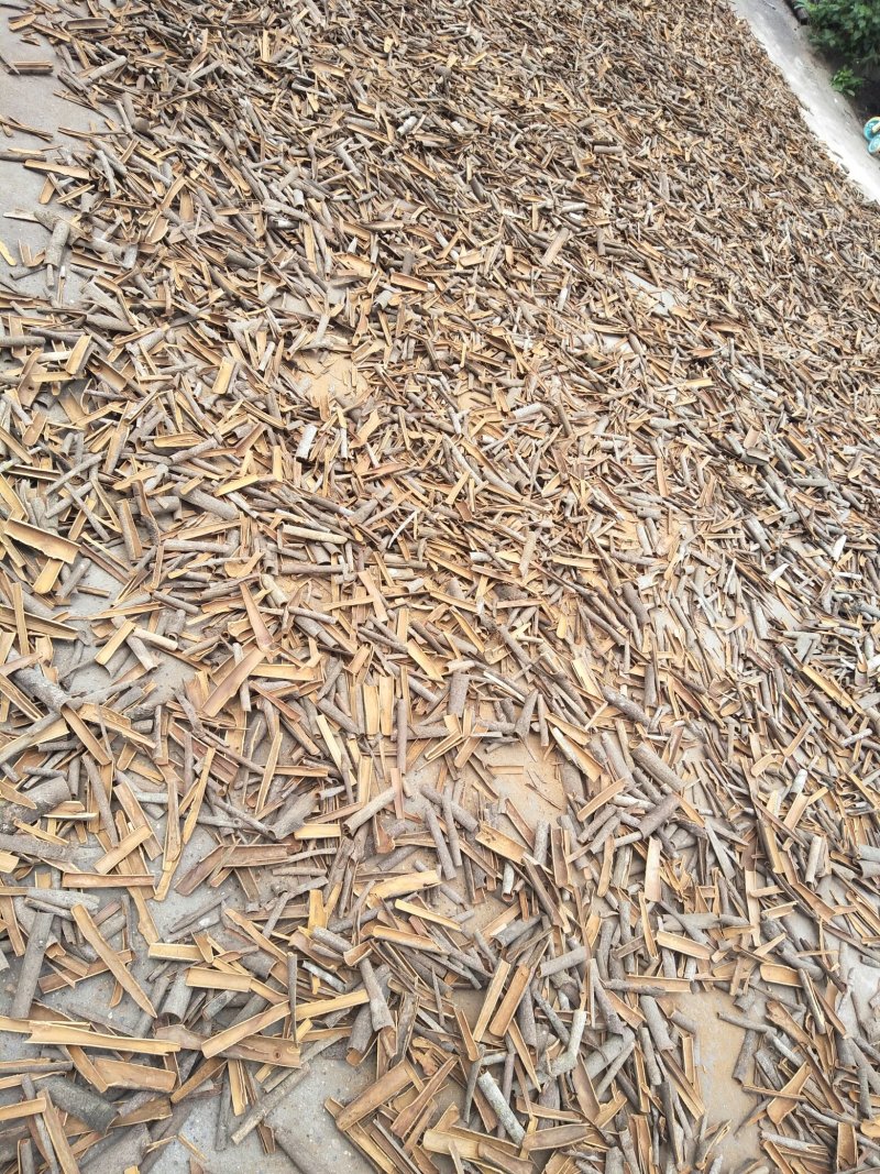 新鲜玉桂皮