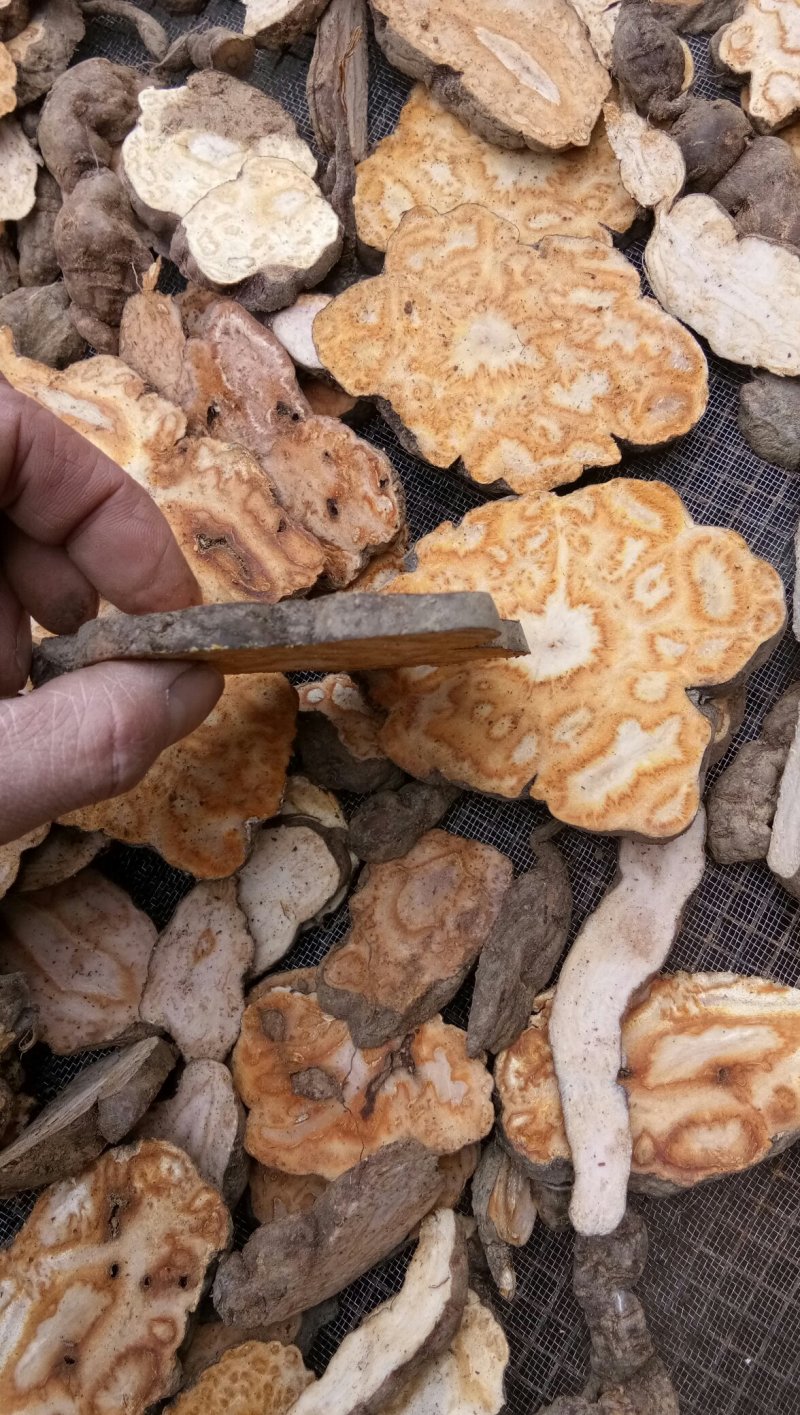 何首乌手工干片