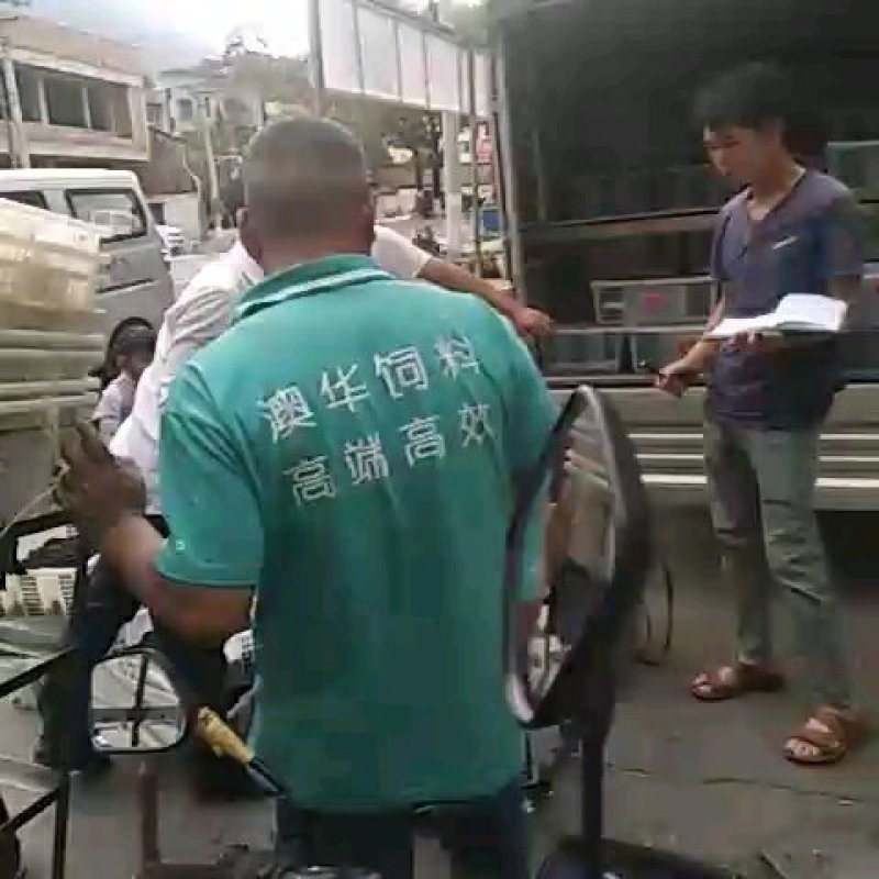 桑椹（代收）物美价廉赶快行动