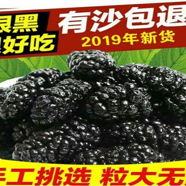 四川手选桑葚干黑桑椹无沙免洗泡水泡酒批发包邮零售