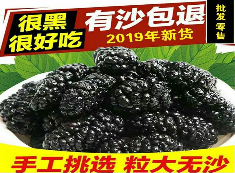 四川手选桑葚干黑桑椹无沙免洗泡水泡酒批发包邮零售