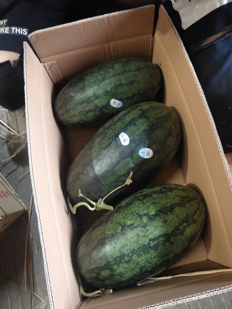 正宗西瓜一手货源量大从优