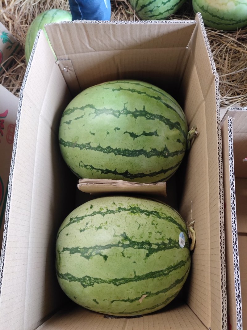 正宗西瓜一手货源量大从优