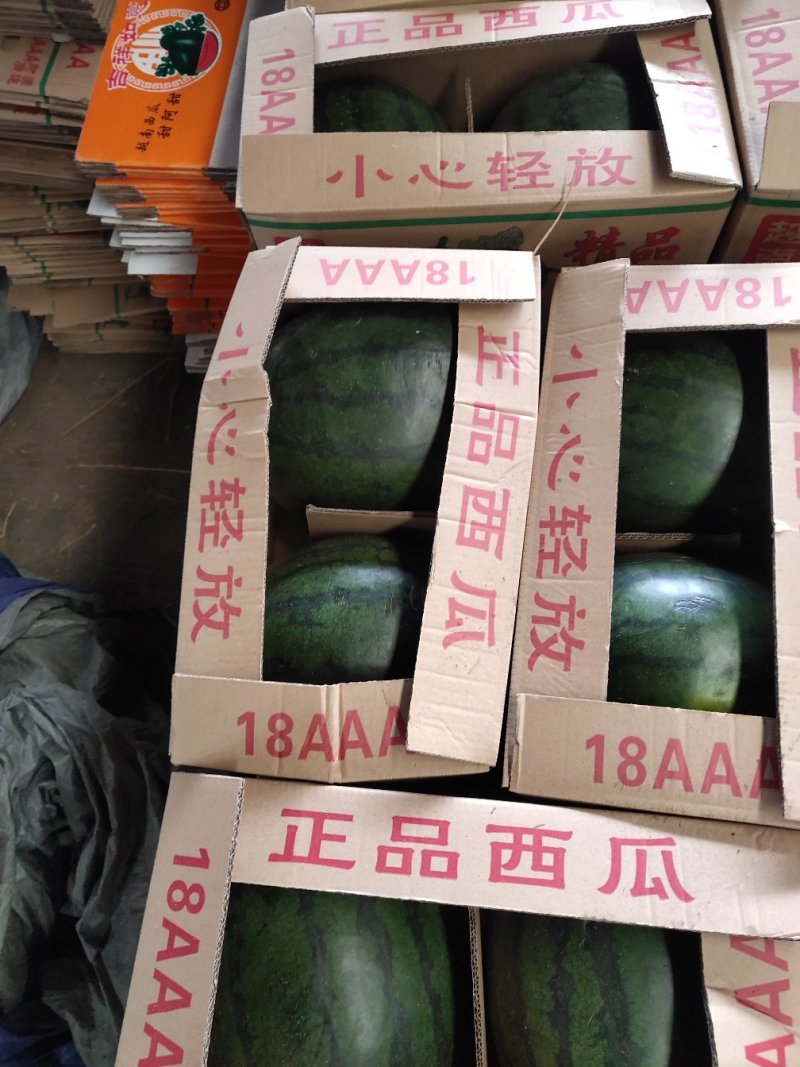 正宗西瓜一手货源量大从优