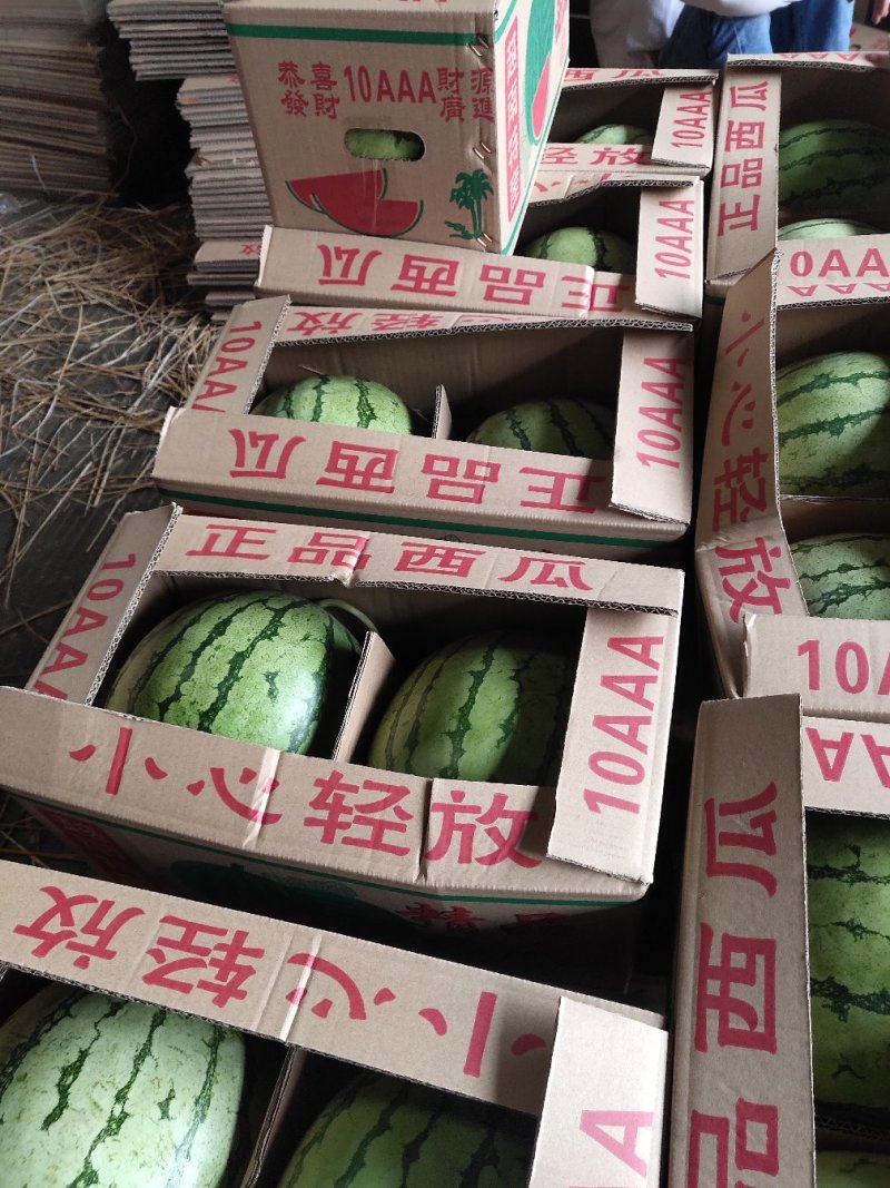 正宗西瓜一手货源量大从优