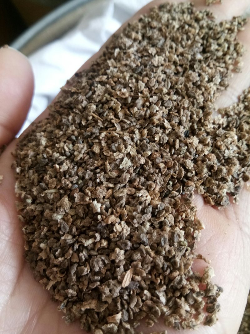 地肤子药用无硫熏干净无杂一公斤起发货