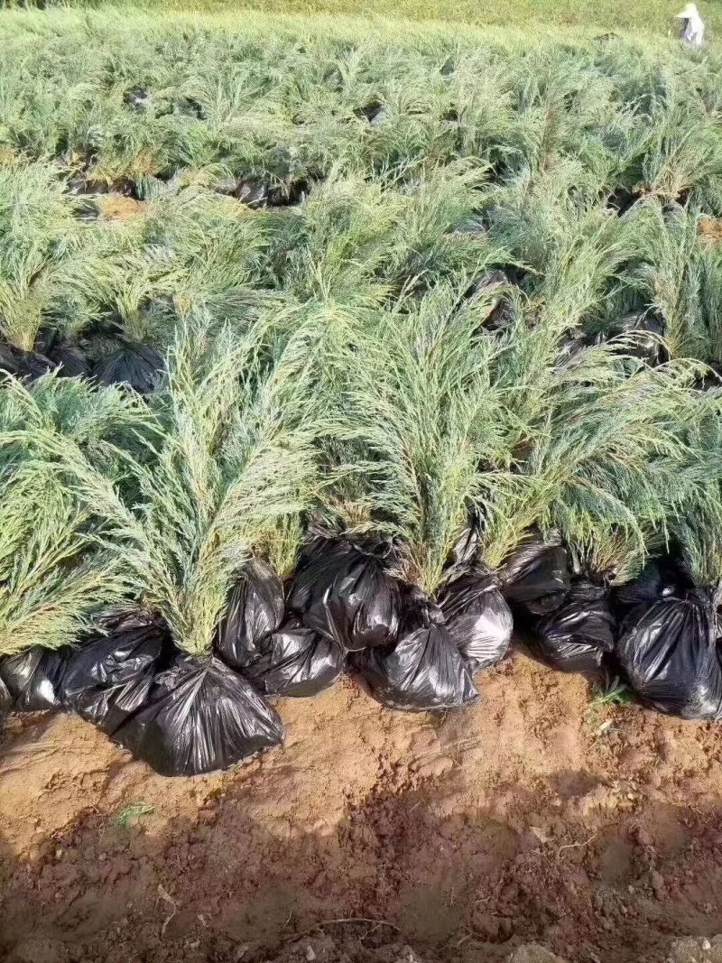 30到60