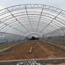 椭圆管大棚几字钢大棚钢管大棚方管大棚