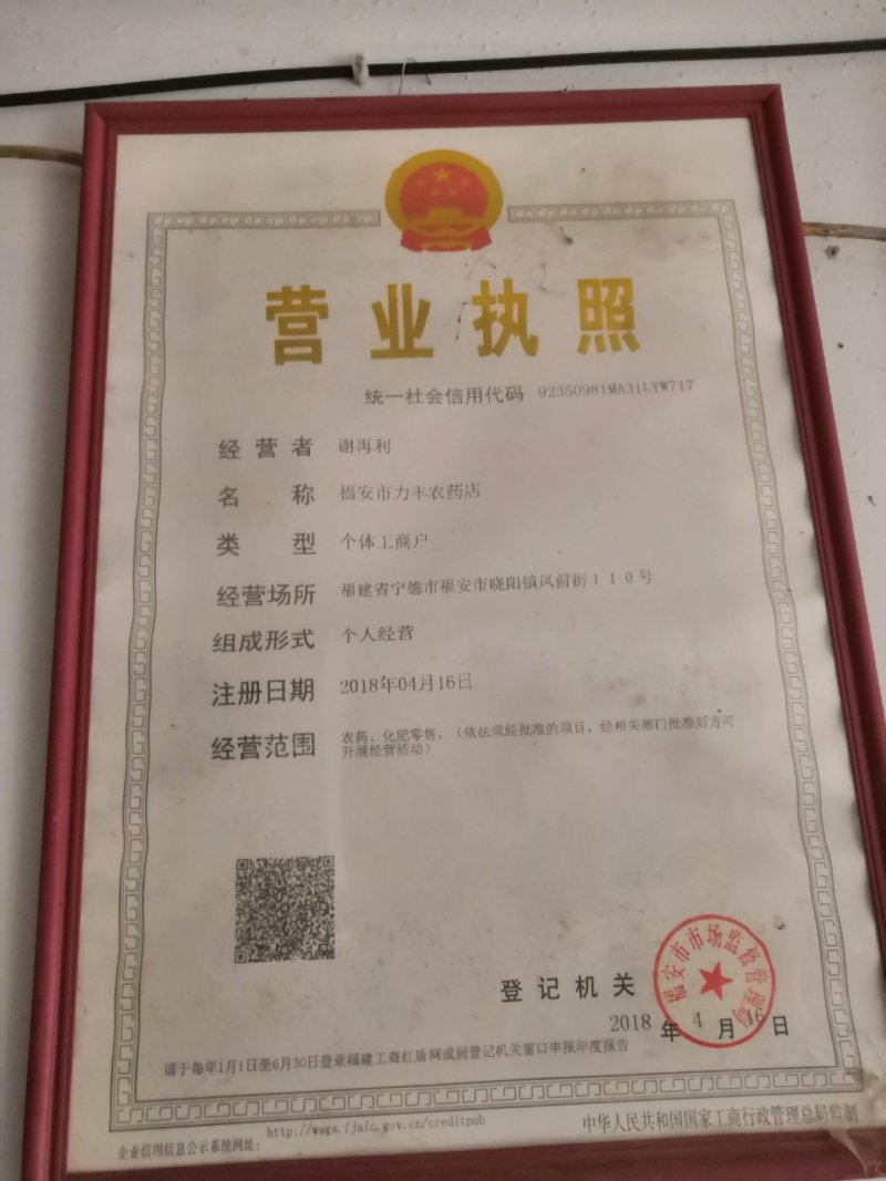 福建寿宁高山绿茶一泡红茶红茶铁观音茶叶金观音茶奇兰茶都是