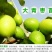 台湾青枣