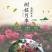 【当年开花】庭院盆栽地栽树桩月季树状月季芳香大花嫁接常年