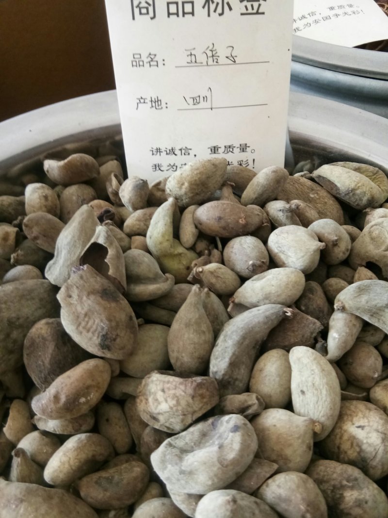 五倍子正品优质个干净无杂百虫仓另有蛇床子