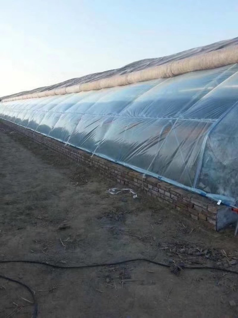 大棚骨架，温室大棚养殖棚大棚建设，蔬菜大棚安装销售，