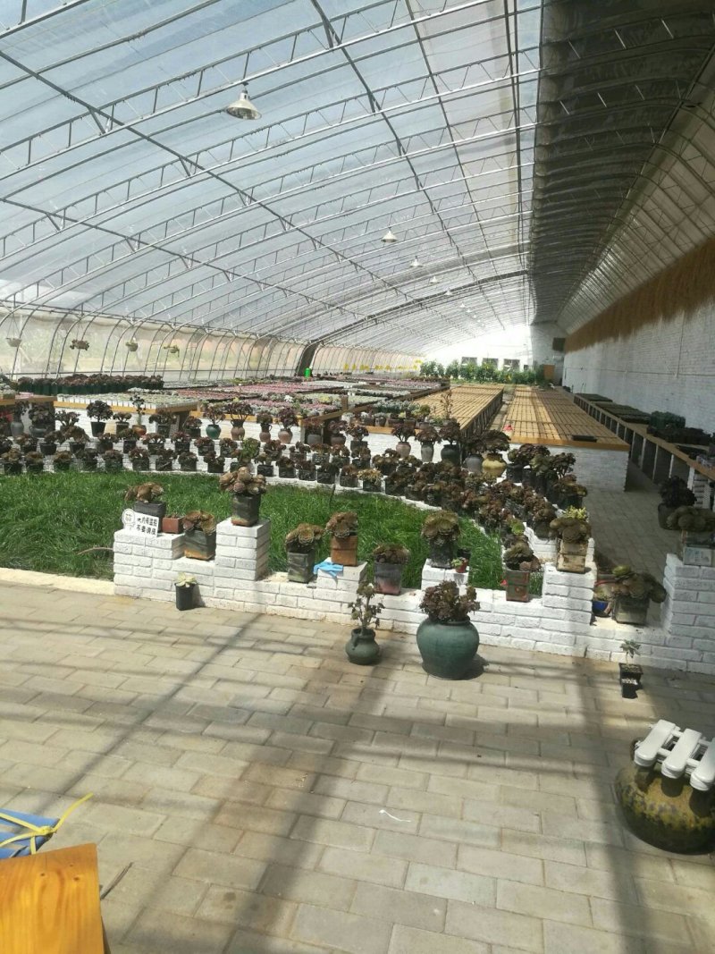 大棚骨架，温室大棚养殖棚大棚建设，蔬菜大棚安装销售，