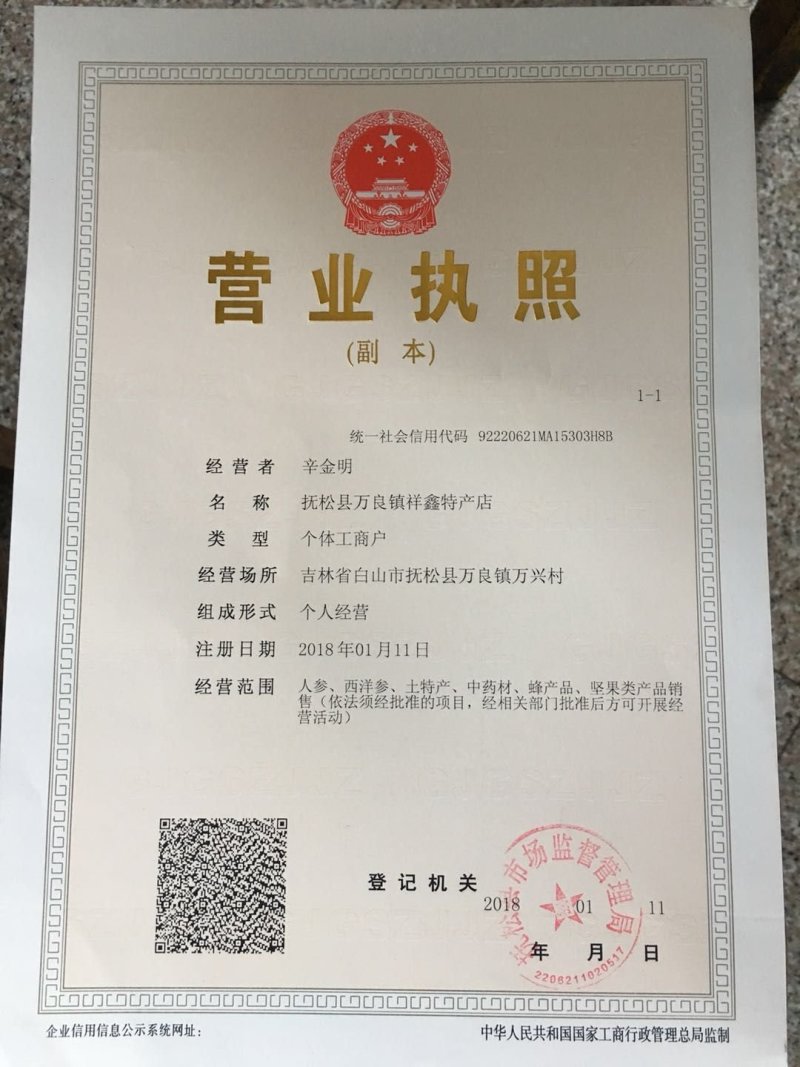 【包邮】吉林长白山非野生人参苗出芽率90%以上盆栽苗