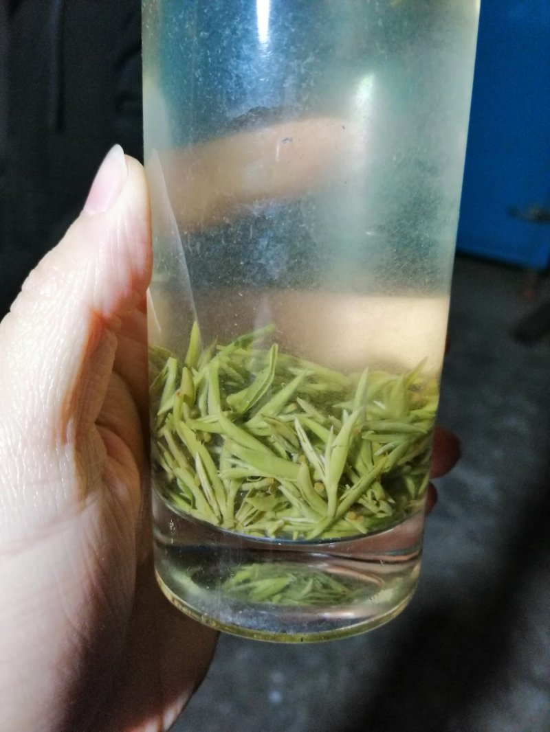 纯手工碧螺春
