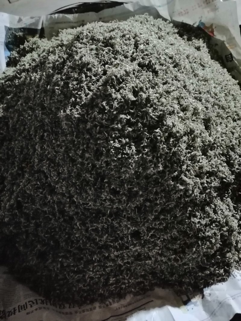 纯手工碧螺春