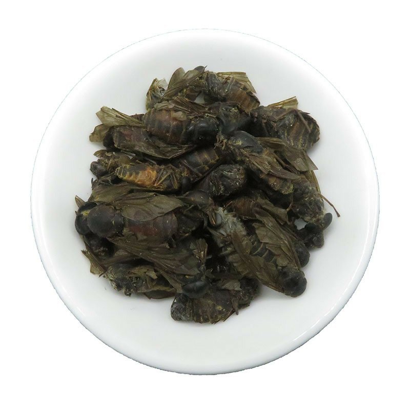 牛虻虫虻虫无硫净货包正品批发零售中药材