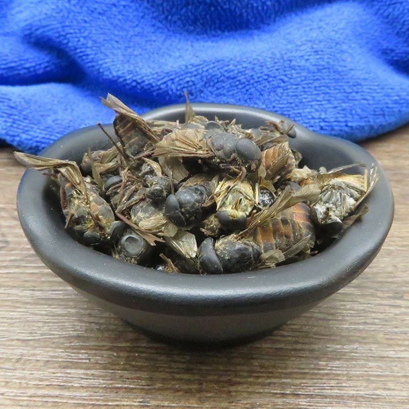 牛虻虫虻虫无硫净货包正品批发零售中药材