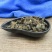 牛虻虫虻虫无硫净货包正品批发零售中药材