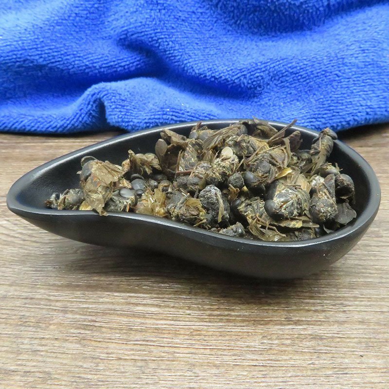 牛虻虫虻虫无硫净货包正品批发零售中药材