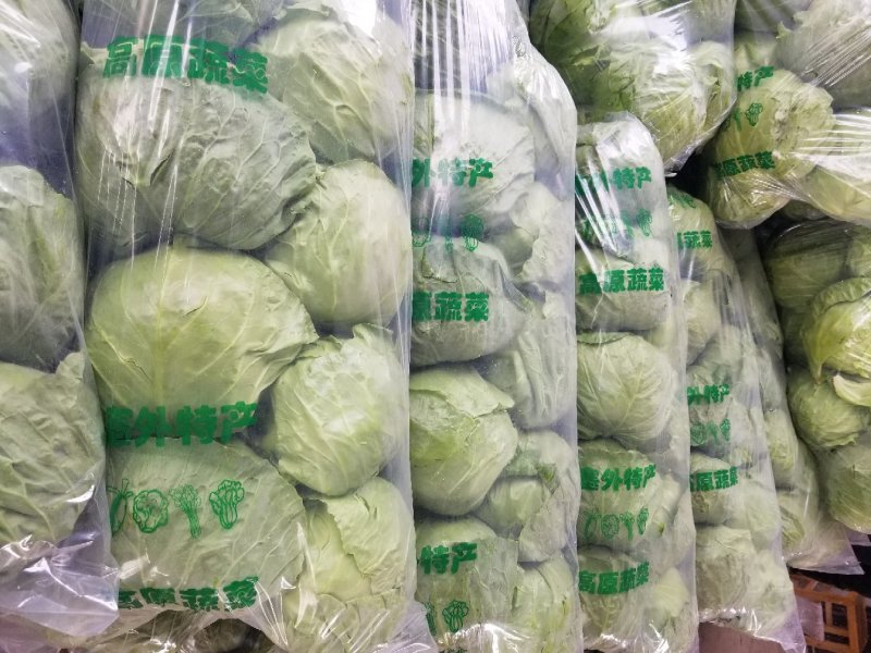 甘蓝绿甘蓝精品大头菜