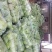 甘蓝绿甘蓝精品大头菜