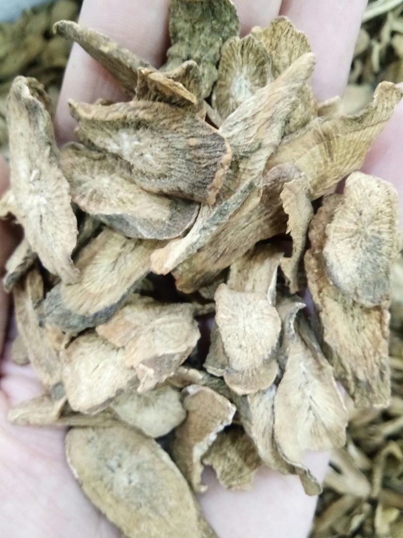 牛蒡根山东新鲜野生干品无硫熏泡水包邮