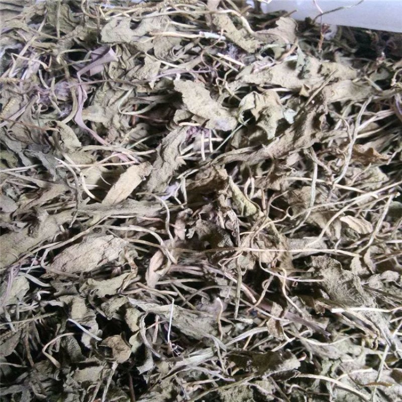 一支箭青藤蛇咬子无硫净货正品批发零售冷背中药材