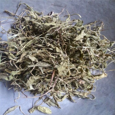 一支箭青藤蛇咬子无硫净货正品批发零售冷背中药材