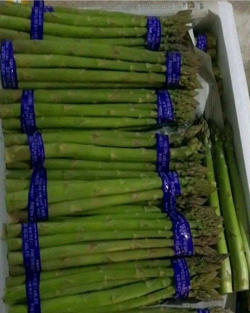 精品绿芦笋，颜色鲜亮，翠绿汁多，基地直供，量大从优！