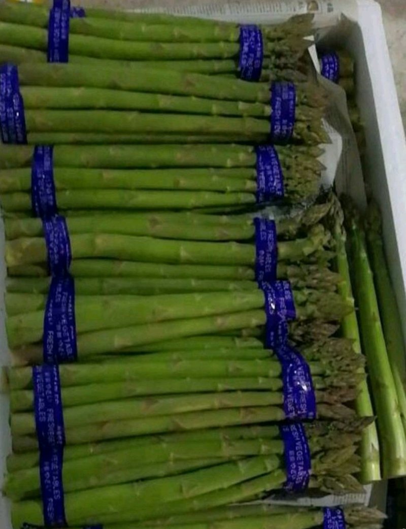 精品绿芦笋，颜色鲜亮，翠绿汁多，基地直供，量大从优！