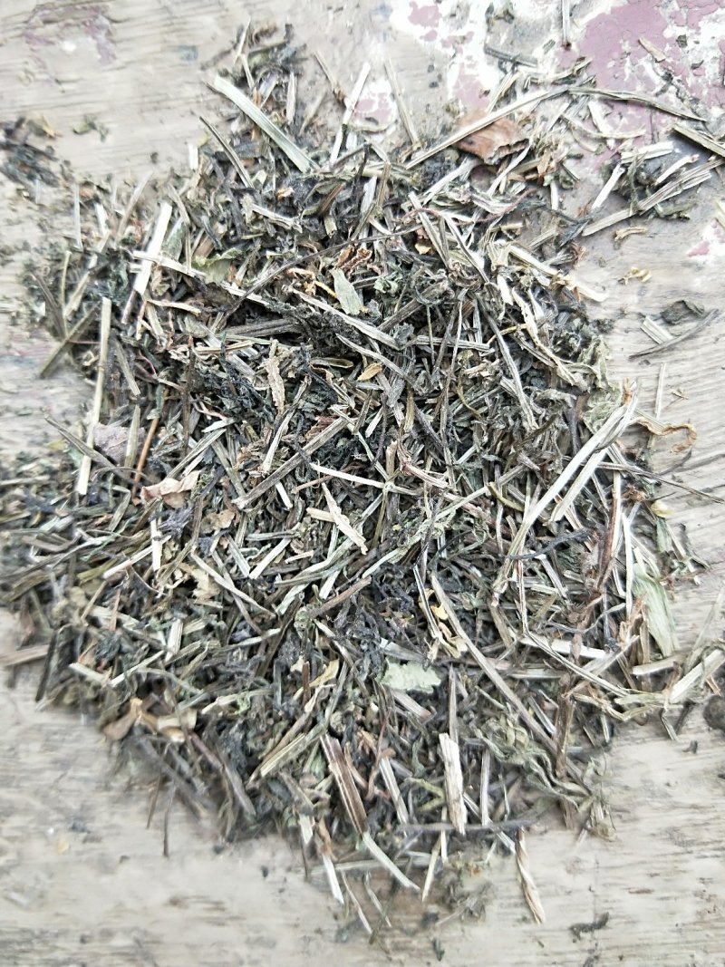 八仙草