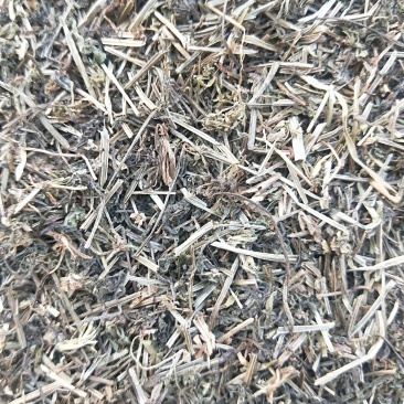 八仙草