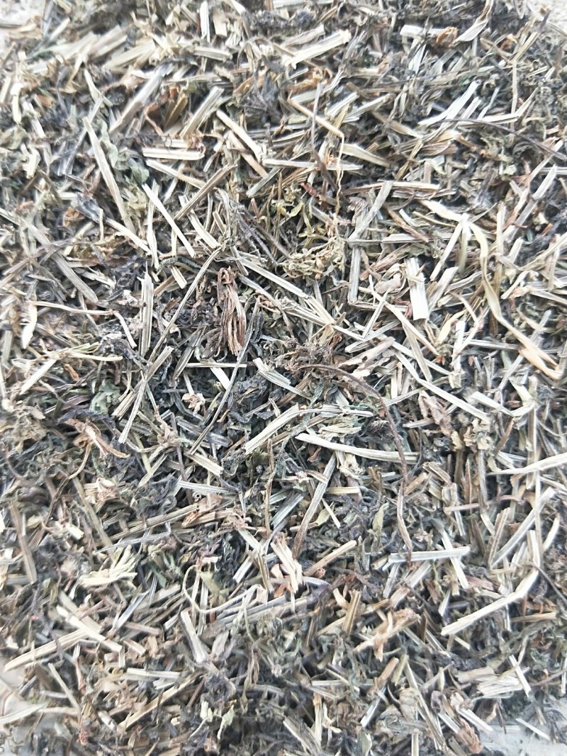 八仙草