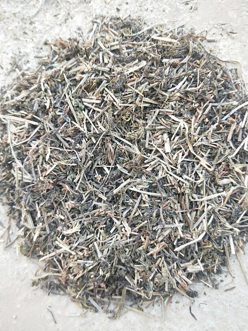 八仙草