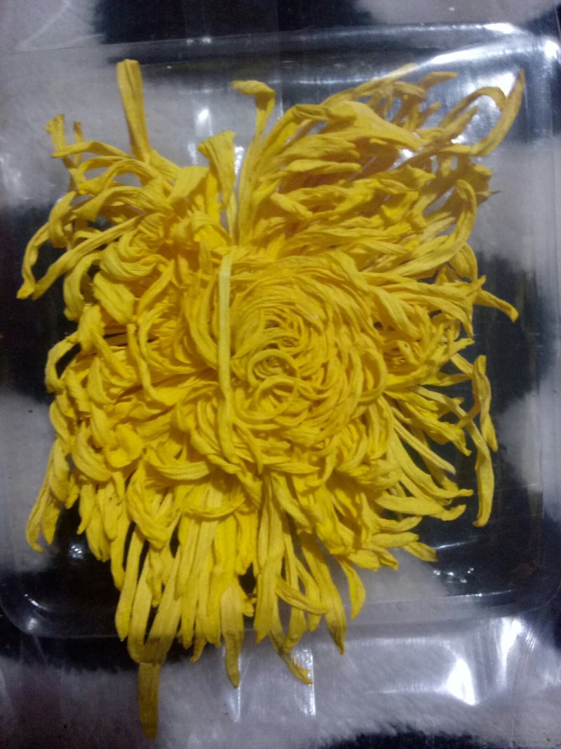金丝皇菊