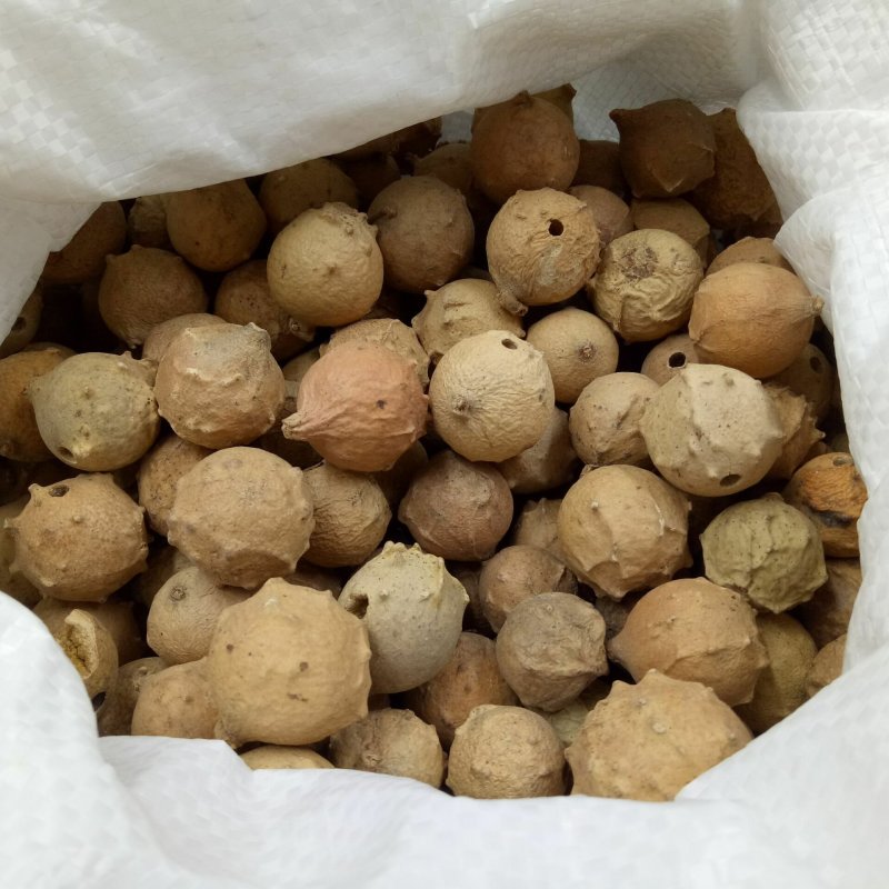 没食子墨石子无硫净货批发零售冷背中药材