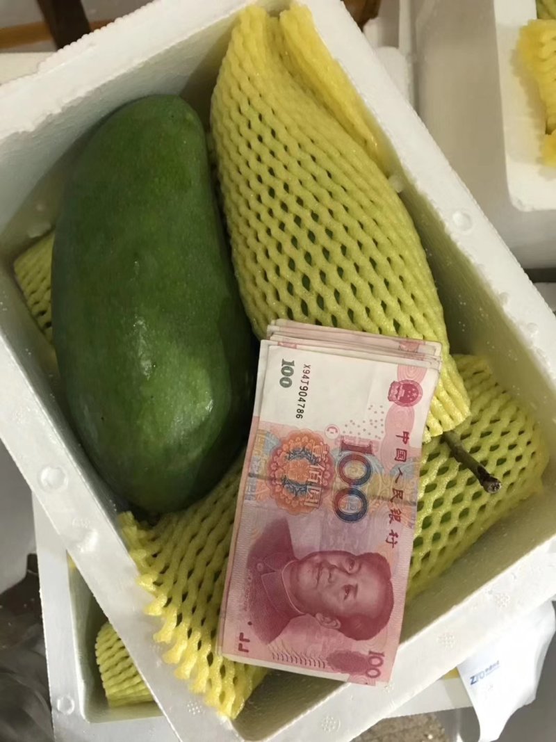 大青芒果越南一级大青芒果大量批发，产地直销，一件代发