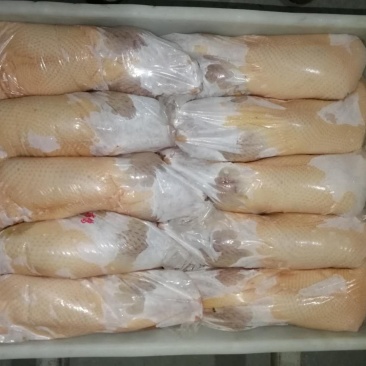 樱桃谷瘦肉型白条鸭