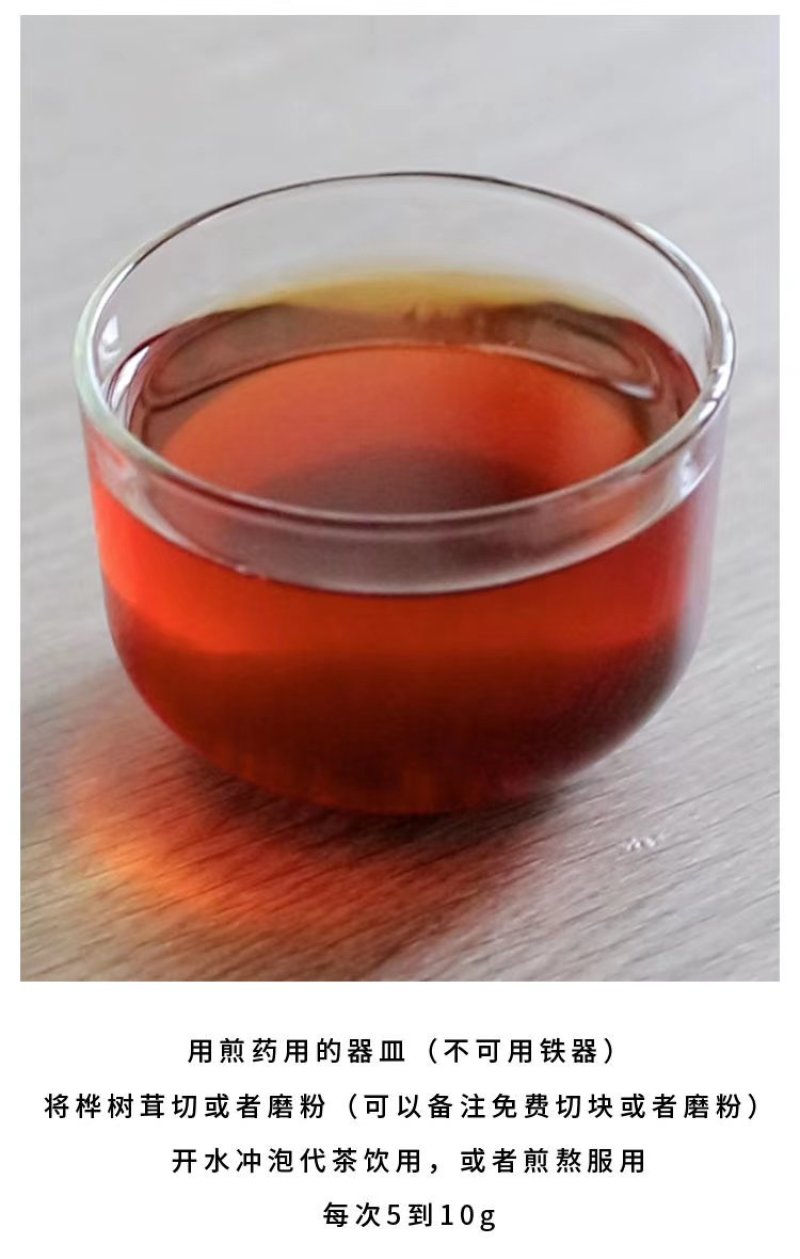 桦树茸桦褐孔菌桦树黄长白山白桦茸大山里生长