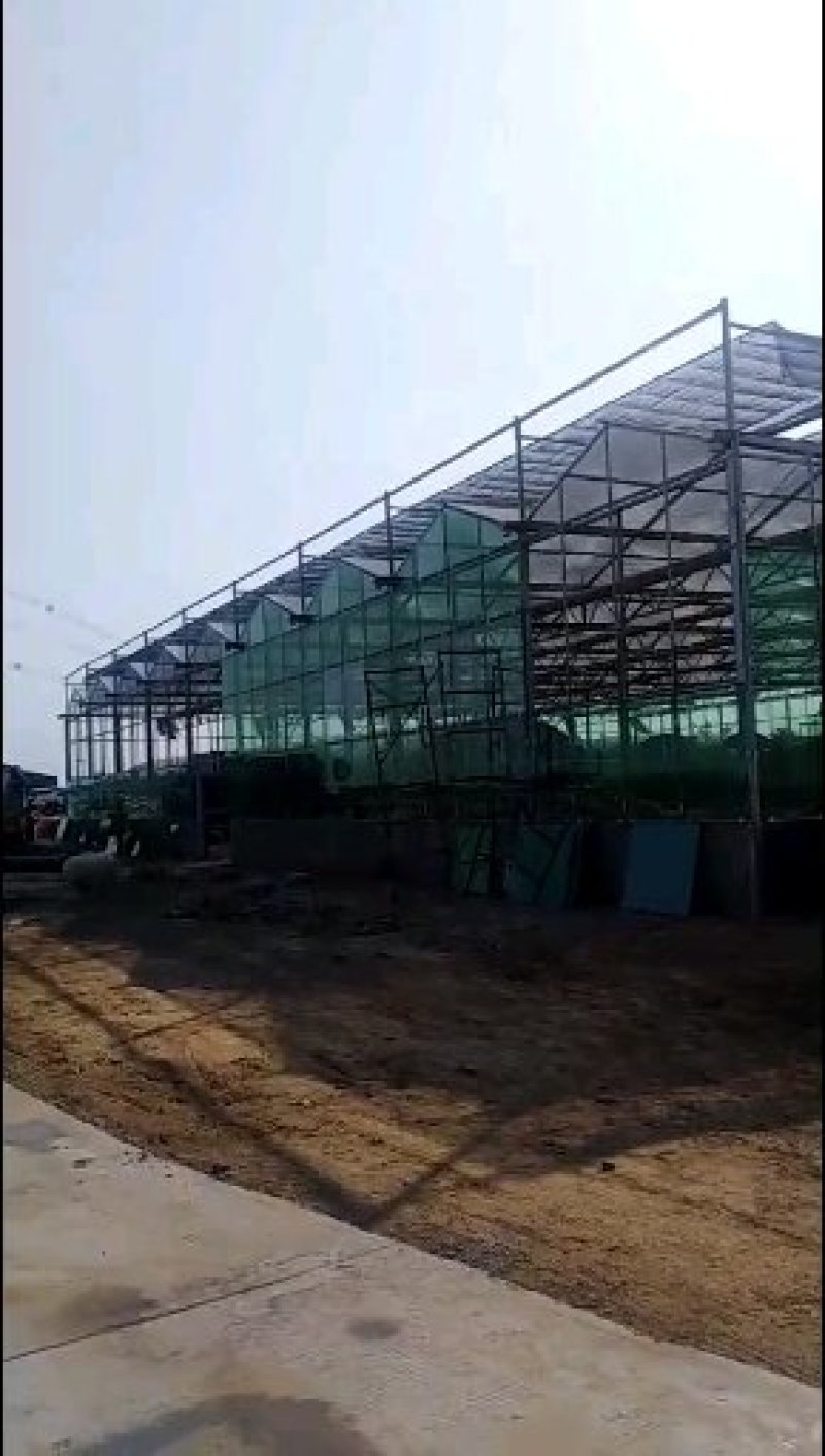 连栋大棚，简易连栋大棚，智能连栋大棚，玻璃连体大棚
