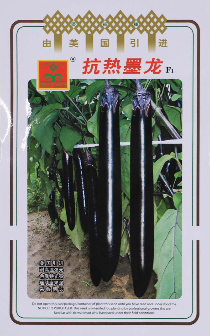 耐热长墨茄种子黑亮形长茄种子颜色黑亮耐热高秧茄子种子