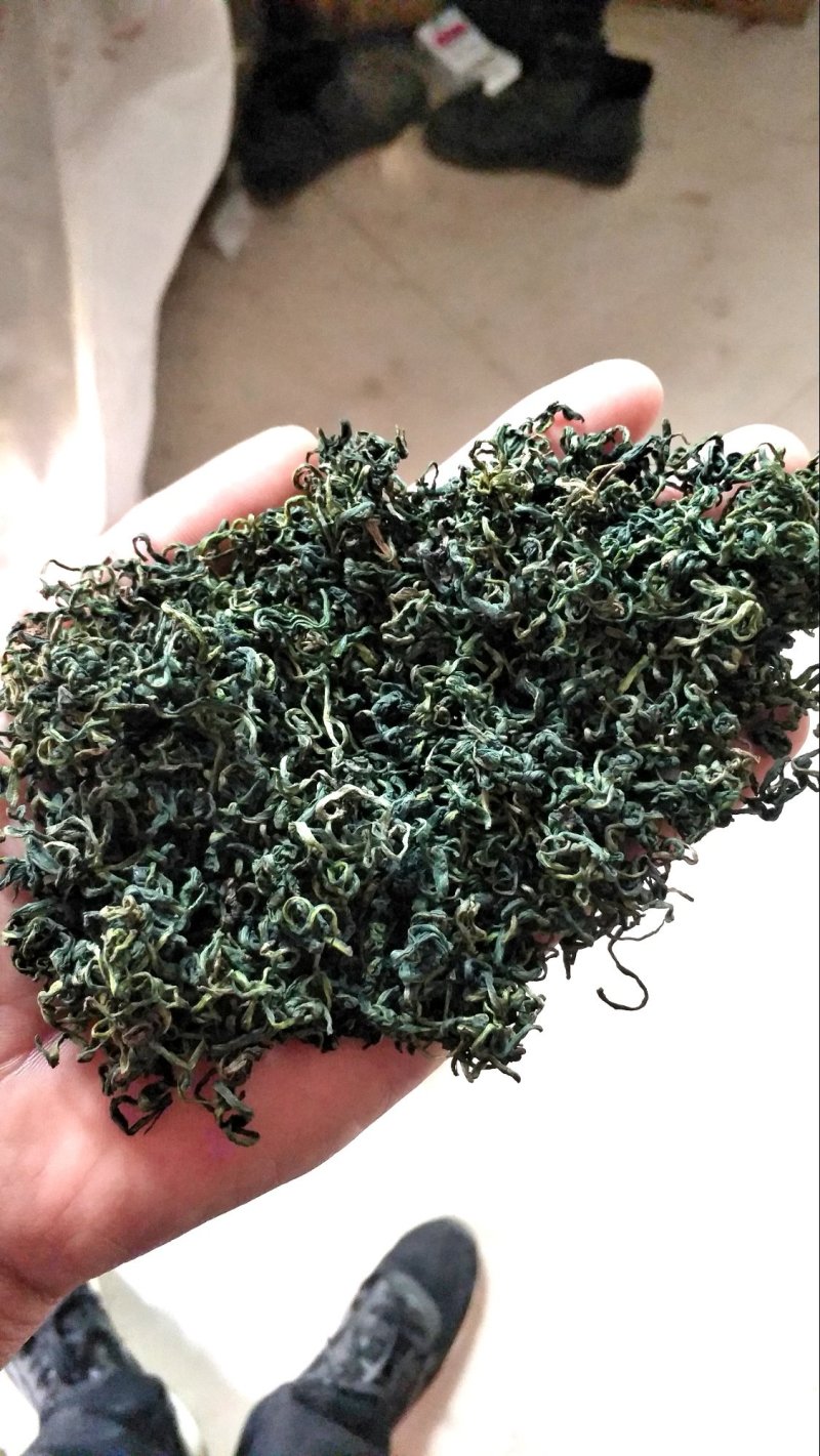 精品蒲公英叶茶，优质，条形细，颜色青绿。