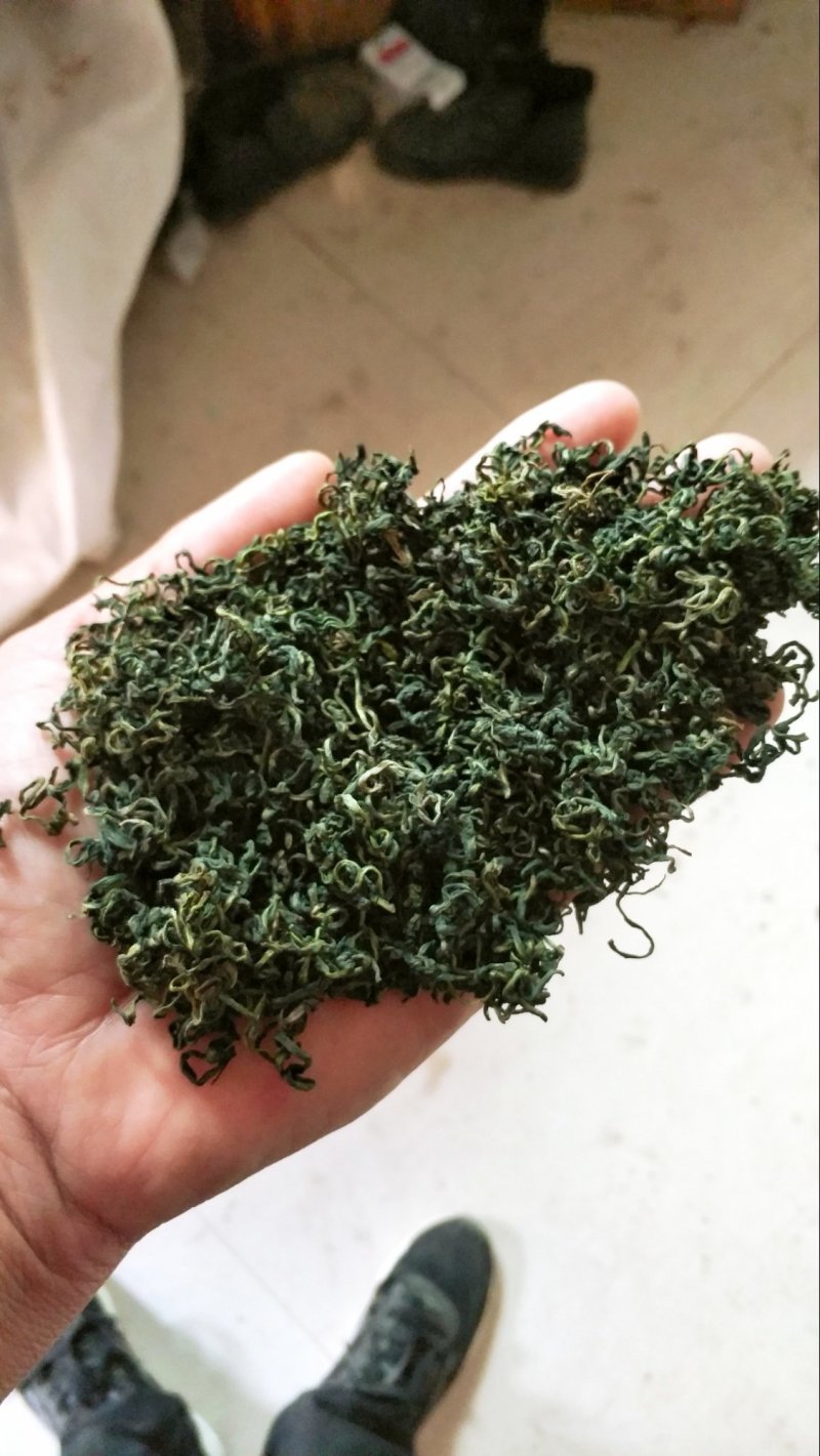 一手精品蒲公英，优质，颜色青绿