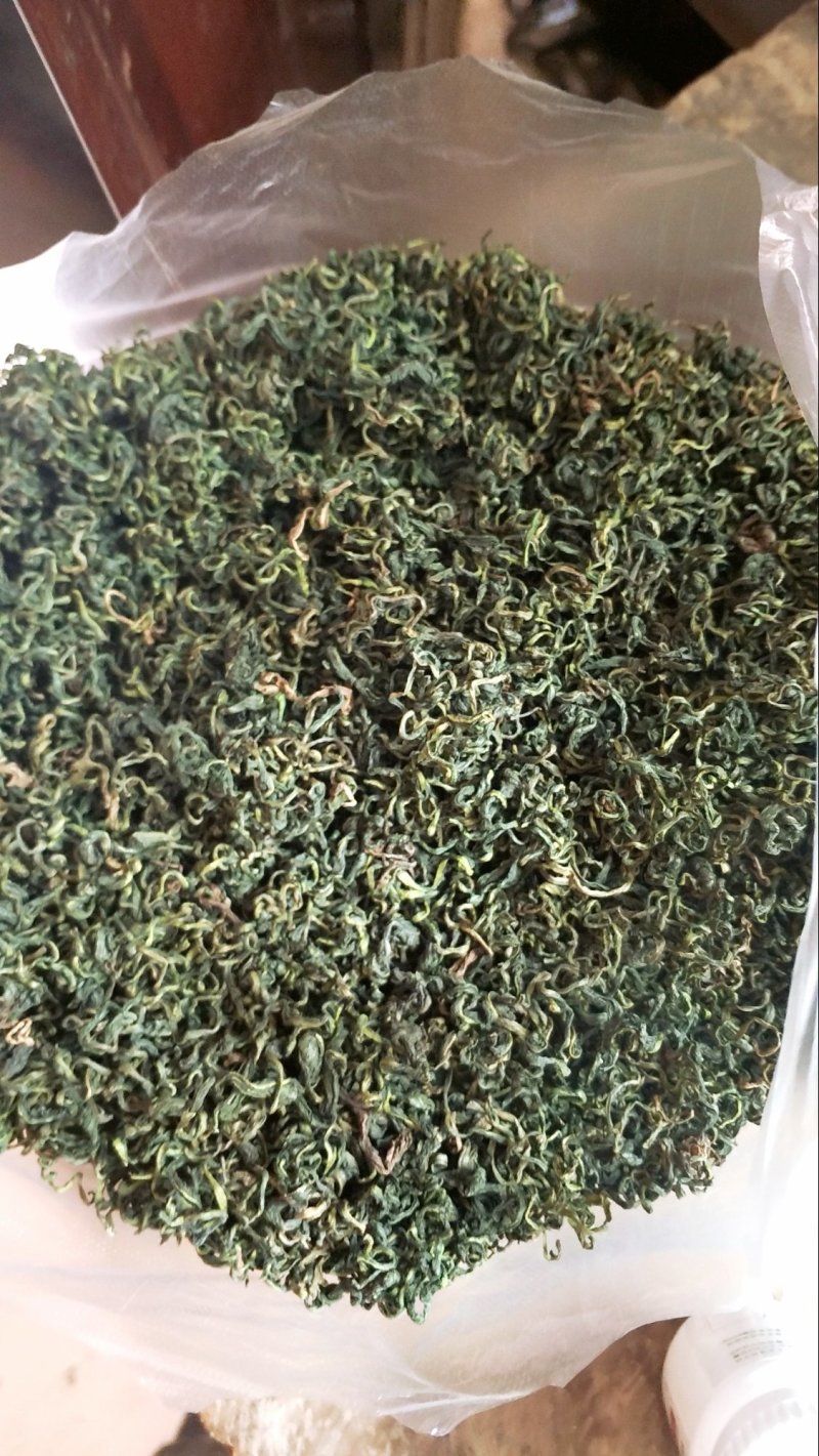 一手精品蒲公英，优质，颜色青绿