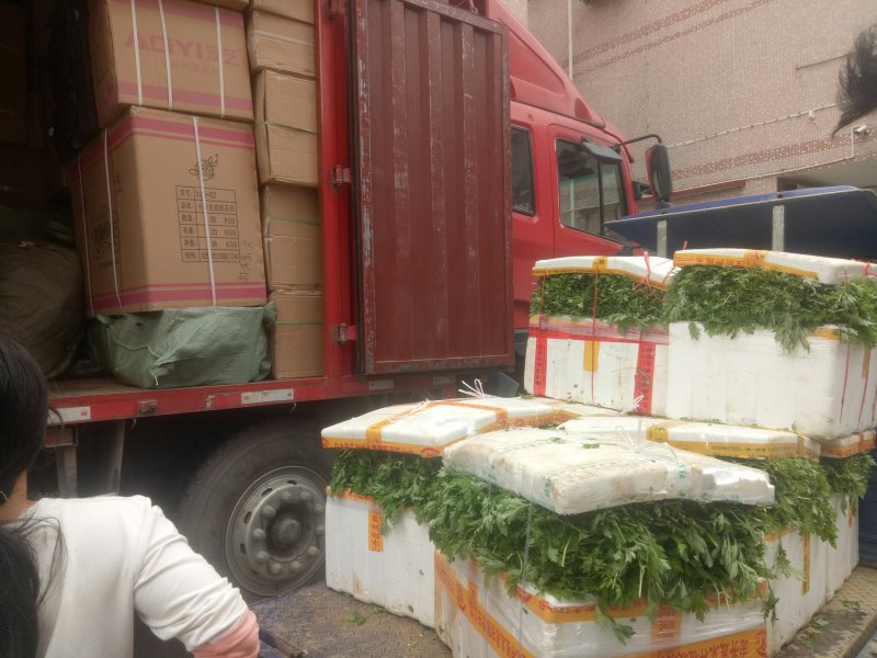 专业种植食用艾叶，支持一件代发！