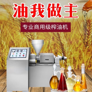 全自动榨油机螺旋式榨油机花生仁食用油生产