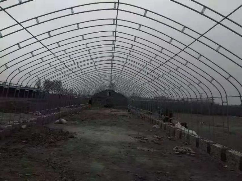 张家口养猪大棚.养鸡养鸭大棚.蔬菜温室大棚.